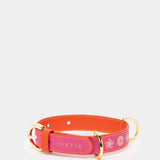 Dogleash Batlló Fuchsia