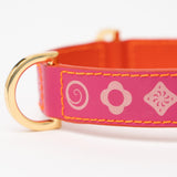 Dogleash Batlló Fuchsia