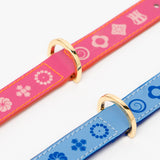 Dogleash Batlló Fuchsia