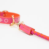 Dogleash Batlló Fuchsia