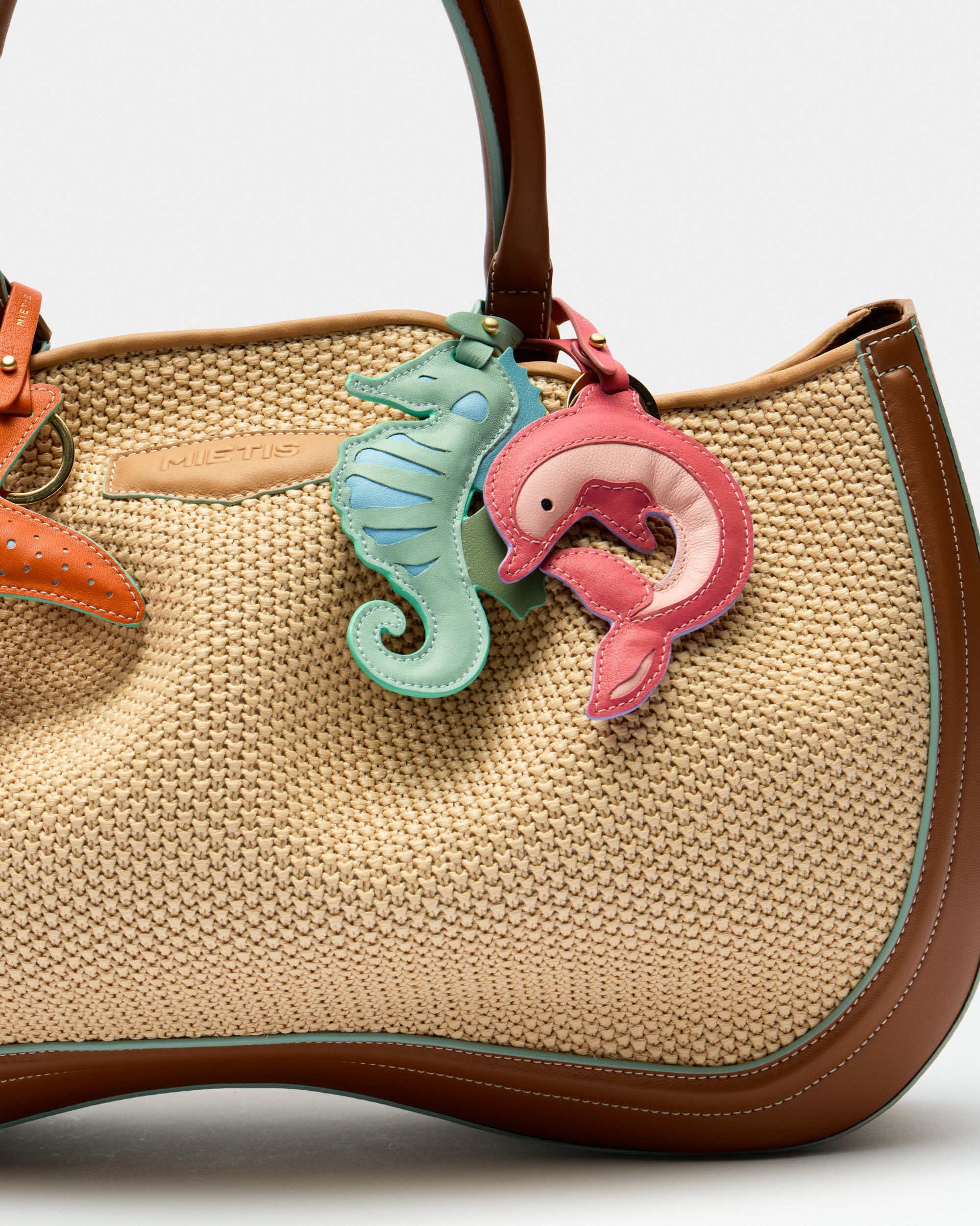 Charm Marine Seahorse