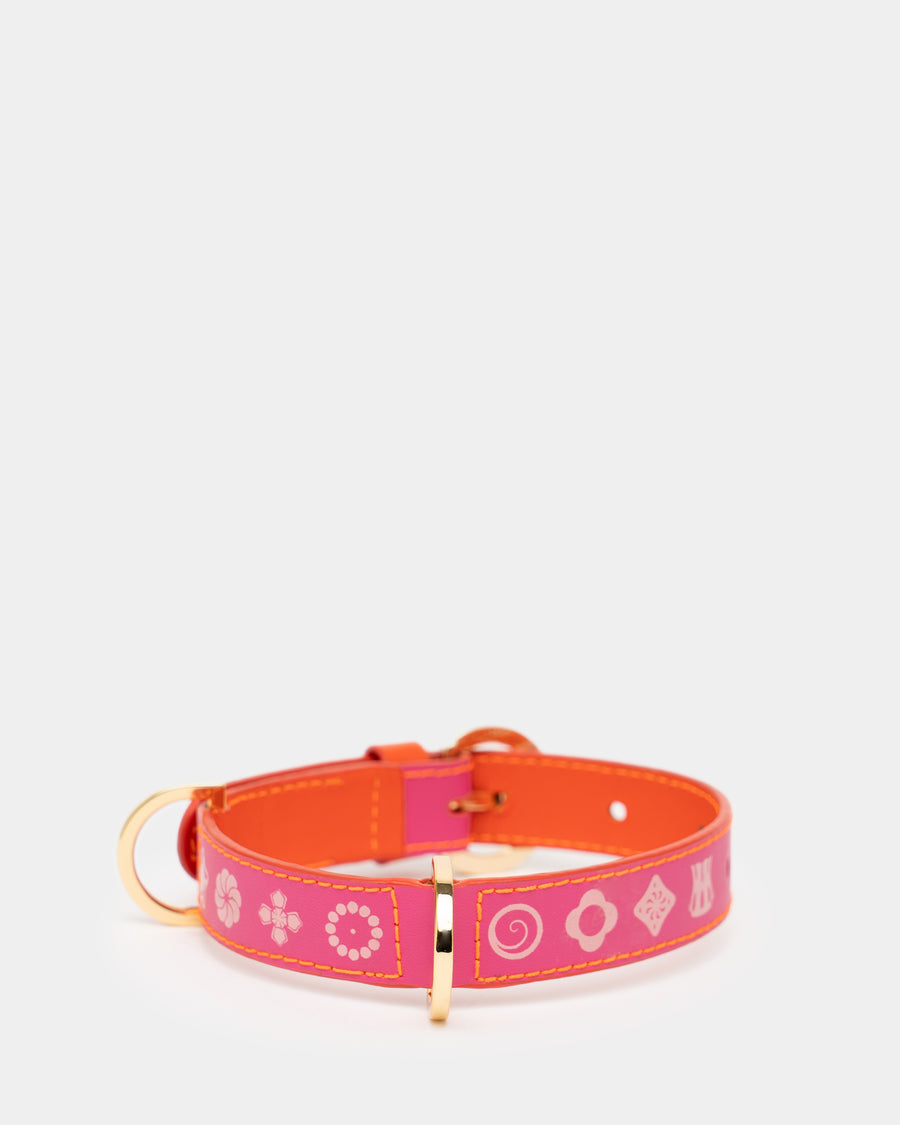 Dogleash Batlló Fuchsia