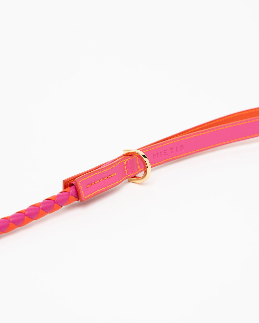 Dogleash Batlló Fuchsia