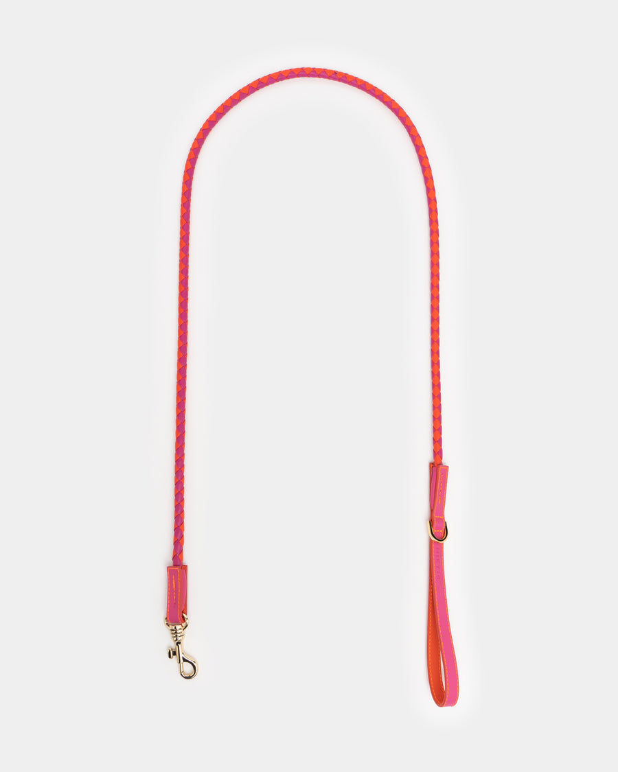 Dogleash Batlló Fuchsia