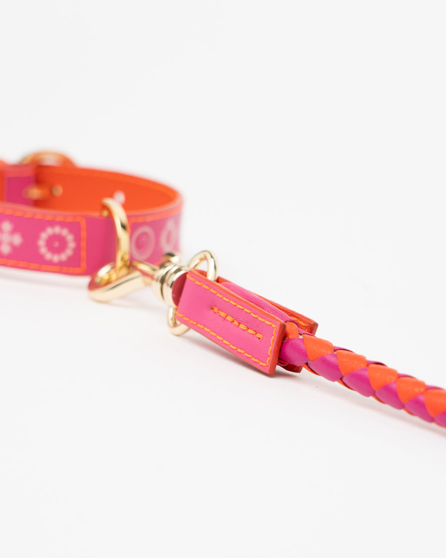 Dogleash Batlló Fuchsia