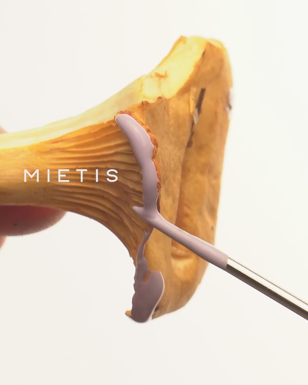 Lilac mushroom leather charm – MIETIS ROOTED craft